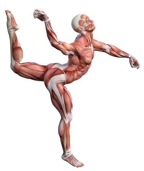 楽器としての身体